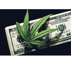 Image for The Chronicles of Marijuana Stocks