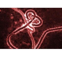 Image for European Regulators Approve Merck’s Ebola Vaccine