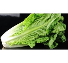 Image for FDA Narrows Romaine Lettuce Advisory Over E. Coli Concerns To Products Grown in California