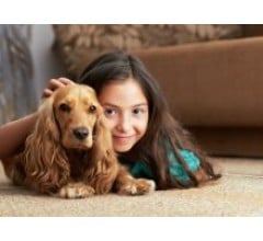 Image for Childhood Pets Can Reduce Risk for Allergy and Obesity