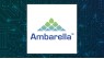 Ambarella  Reaches New 12-Month Low After Analyst Downgrade