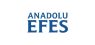 Anadolu Efes Biracilik ve Malt Sanayii Anonim Sirketi  Trading Down 6.5%