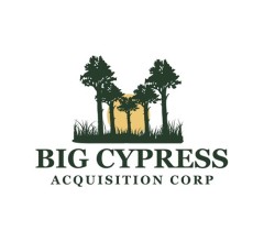 Image for Critical Survey: Relay Therapeutics (NASDAQ:RLAY) versus Big Cypress Acquisition (OTCMKTS:BCYP)
