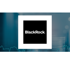 Image about Van ECK Associates Corp Grows Stock Position in BlackRock MuniAssets Fund, Inc. (NYSE:MUA)