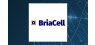 BriaCell Therapeutics  Trading Down 3.8%