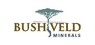Bushveld Minerals  Stock Price Crosses Below 200-Day Moving Average of $10.08