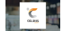 Celsius  Sees Large Volume Increase After Strong Earnings