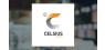 Celsius Holdings, Inc.  Insider Paul H. Storey Sells 1,833 Shares