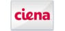 Ciena Co.  Shares Sold by American International Group Inc.