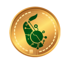 Image for AvocadoCoin Price Tops $906.64  (AVDO)