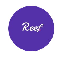 Image for Reef (REEF) 24-Hour Volume Tops $11.74 Million