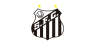 Santos FC Fan Token Price Up 0.3% This Week 