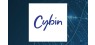Cerity Partners LLC Acquires 73,271 Shares of Cybin Inc. 