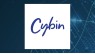 Cerity Partners LLC Acquires 73,271 Shares of Cybin Inc. 