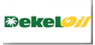 Dekel Agri-Vision  Shares Pass Above 50 Day Moving Average of $3.16