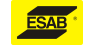 ESAB   Shares Down 4.1%