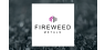 Peter Timothy Hemstead Sells 39,400 Shares of Fireweed Metals Corp.  Stock