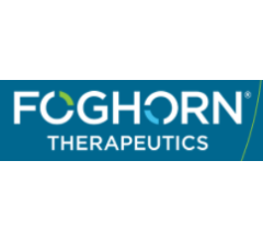 Image for Foghorn Therapeutics (NASDAQ:FHTX) Shares Gap Up to $11.87