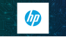 HP Sees Unusually Large Options Volume 