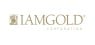 IAMGOLD  Shares Gap Down to $2.15