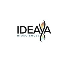 Image for IDEAYA Biosciences (NASDAQ:IDYA) PT Raised to $41.00 at JPMorgan Chase & Co.