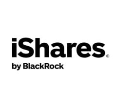 Image for Wells Fargo & Company MN Raises Stock Position in iShares Core MSCI EAFE ETF (BATS:IEFA)