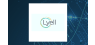 Lyell Immunopharma  Trading Up 5.9%