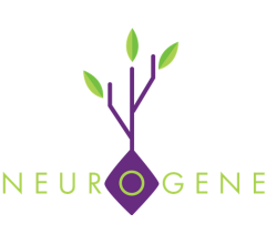 Image about Neurogene (NASDAQ:NGNE) Price Target Raised to $55.00 at HC Wainwright