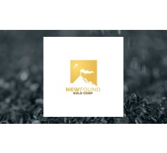 Image for New Found Gold (NYSE:NFGC) Receives “Buy” Rating from Roth Mkm