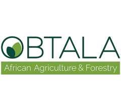 Image for Obtala (LON:OBT) Share Price Crosses Below 200-Day Moving Average of $6.90