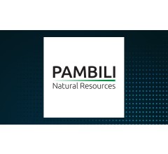 Image for Pambili Natural Resources (CVE:PNN) Sets New 52-Week Low at $0.04
