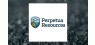 Perpetua Resources   Shares Down 2.8%