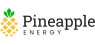 Head to Head Analysis: Infinera  and Pineapple Energy 