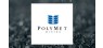 PolyMet Mining  Shares Pass Above Two Hundred Day Moving Average of $0.00