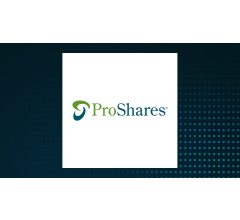 Image about ProShares UltraShort S&P500 (NYSEARCA:SDS) Shares Gap Down to $26.90