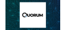 Quorum Information Technologies   Shares Down 1.3%