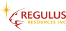 John Ernest Black Purchases 25,000 Shares of Regulus Resources Inc.  Stock