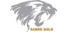 Sabre Gold Mines   Shares Down 10%