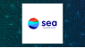 Sea Limited  Given Average Rating of “Moderate Buy” by Brokerages