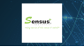Sensus Healthcare  Stock Passes Below Fifty Day Moving Average of $3.89