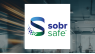 Financial Contrast: SOBR Safe  versus IDW Media 