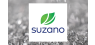 Suzano  Hits New 1-Year High at $12.68