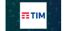 Tim S.A.  Holdings Lowered by Ariel Investments LLC