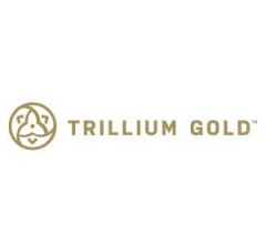 Image for Trillium Gold Mines (CVE:TGM) Sets New 52-Week Low at $0.15