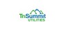 TriSummit Utilities Inc.    Shares Down 0%