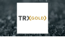TRX Gold  Issues  Earnings Results
