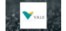 Vale S.A.  Shares Acquired by Fisher Asset Management LLC