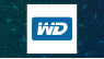 Signaturefd LLC Has $135,000 Stock Position in Western Digital Co. 