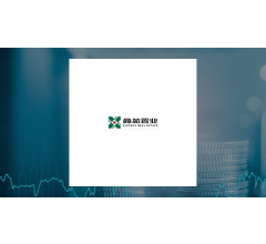 Image about Xinyuan Real Estate (NYSE:XIN) Now Covered by Analysts at StockNews.com