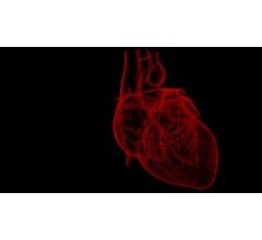 Image for Study Identifies Heart Disease In Ancient Embalmed Hearts